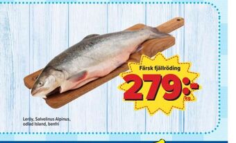 Östenssons Leröy fjällröding erbjuda