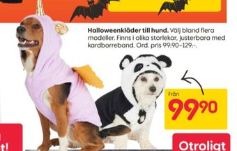 Rusta Nyans hundklädsel erbjuda