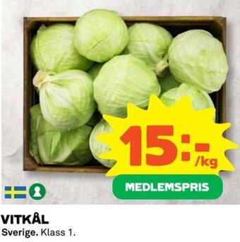 VITKÅL