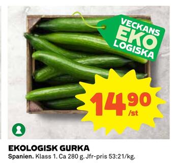 Coop Ekologisk gurka erbjuda