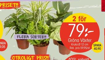 EKO Gröna växter erbjuda