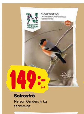 City Gross Solrosfrö erbjuda