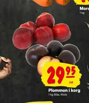 City Gross Plommon i korg erbjuda