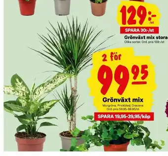 Grönväxt mix