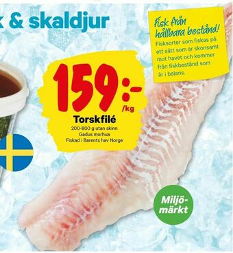 Torskfilé