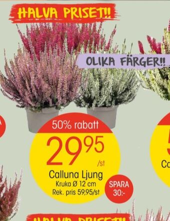EKO Lego plantor erbjuda