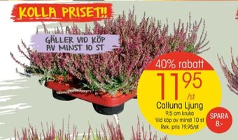 EKO Lego plantor erbjuda