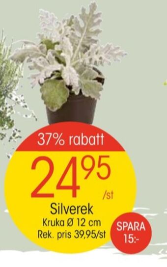 EKO Lego plantor erbjuda