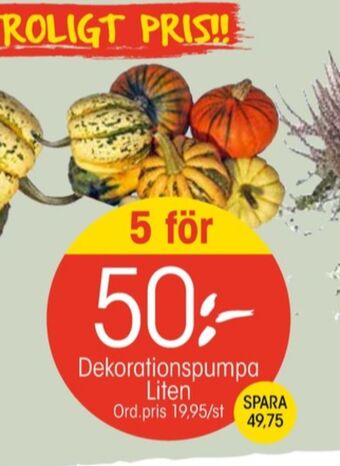 EKO Lego plantor erbjuda
