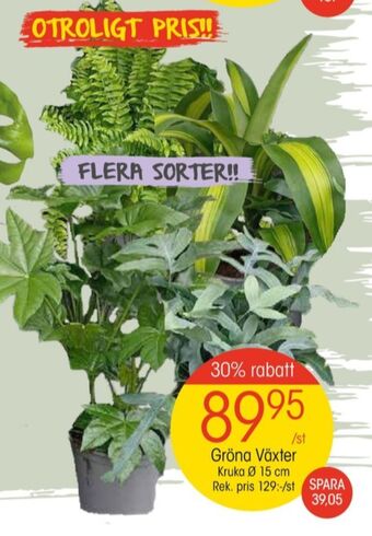 EKO Lego krukväxt erbjuda