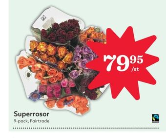 Hemköp Selection blommor erbjuda