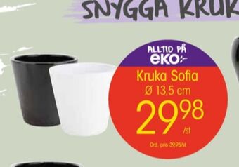 EKO Blomin krukor erbjuda
