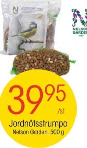 EKO Nelson garden fågelmat erbjuda