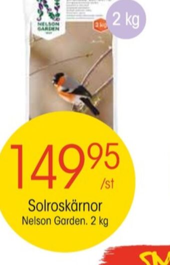 EKO Nelson garden solrosfrön erbjuda