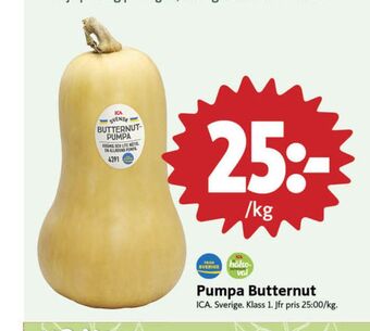 ICA Nära Ica pumpa erbjuda