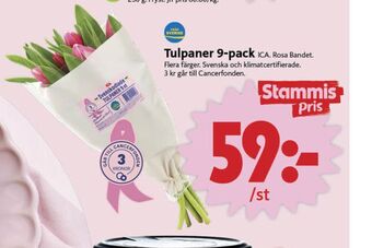 ICA Nära Ica blommor erbjuda
