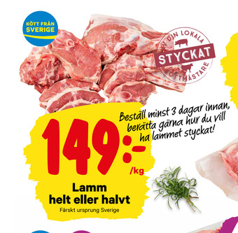 Lamm helt eller halvt