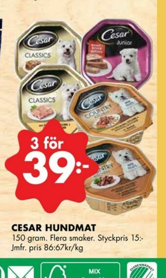 ÖoB Cesar Hundmat erbjuda