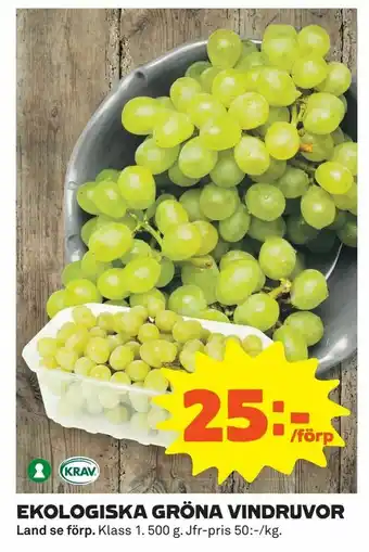 Ekologiska gröna vindruvor