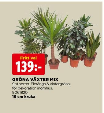 Jem&Fix Gröna växter mix erbjuda