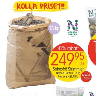 EKO Solrosfrö strimmigt erbjuda