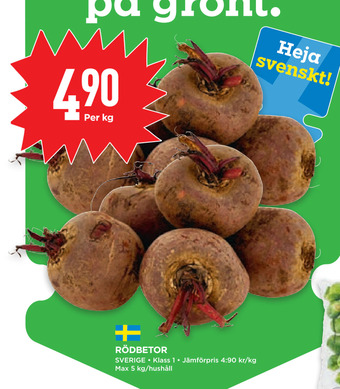 Rödbetor