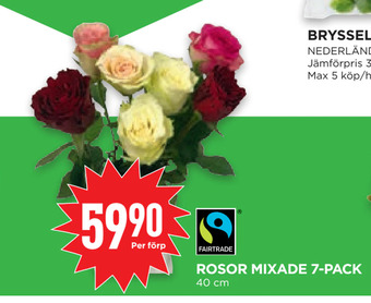 Willys Hemma Rosor mixade 7-pack erbjuda