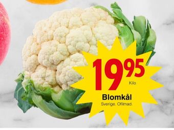 Matöppet Garant blomkål erbjuda