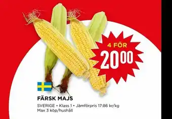 Willys Färsk majs erbjuda
