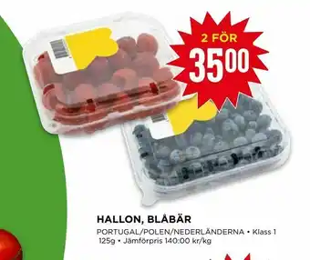 Willys Hallon, blåbär erbjuda