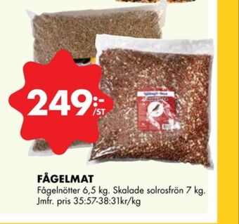 ÖoB Sjöbogården solrosfrön erbjuda