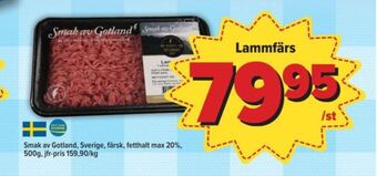 Smak av gotland lammfärs