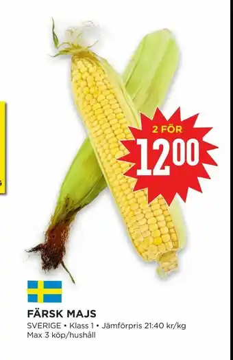 Willys Hemma Färsk majs erbjuda