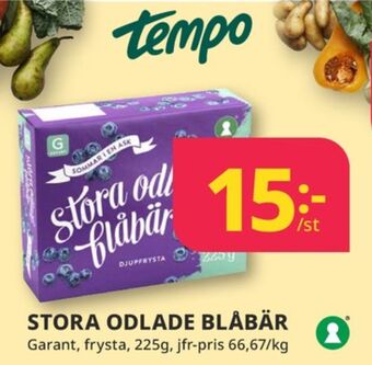 Tempo Garant bär erbjuda