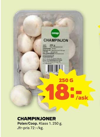 Stora Coop Champinjoner erbjuda