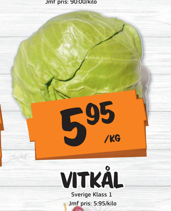 Vitkål