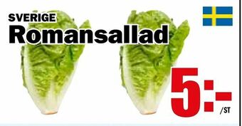 Matdax Romansallad erbjuda