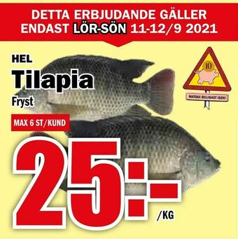 Matdax Tilapia erbjuda