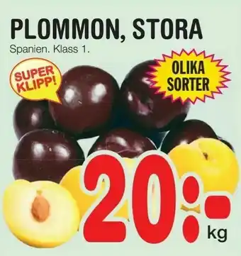 Plommon, stora