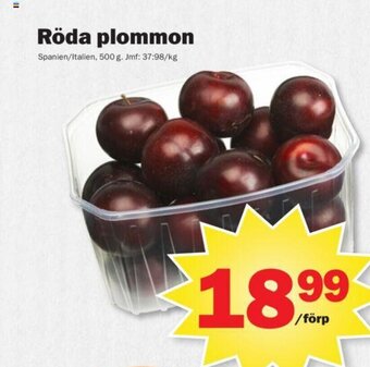 Pekås Röda plommon erbjuda