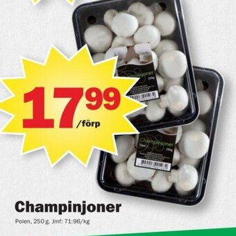 Pekås Champinjoner erbjuda
