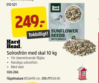 Jula Hard head solrosfrön erbjuda