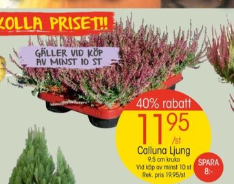 EKO Apotekarnes plantor erbjuda