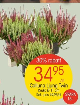 EKO Apotekarnes plantor erbjuda