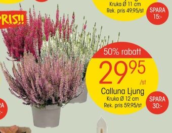 EKO Apotekarnes plantor erbjuda
