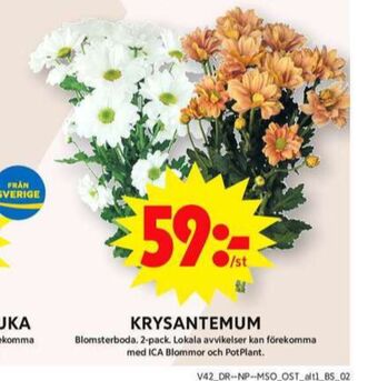 ICA Maxi Blomsterboda blommor erbjuda