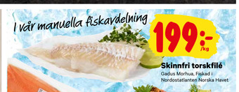 City Gross Skinnfri torskfilé erbjuda