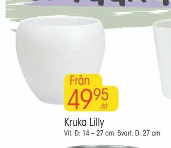 EKO Kruka Lilly erbjuda