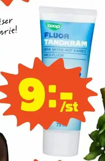 Coop Coop Tandkräm fluor 75ml erbjuda