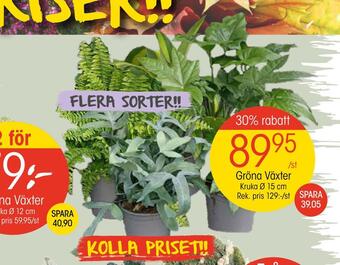 EKO Gröna växter erbjuda